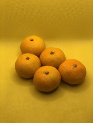  日本和歌山AQ赤秀蜜柑 1包